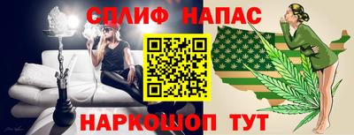 крисы Будённовск