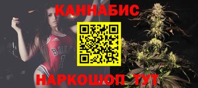 крисы Будённовск