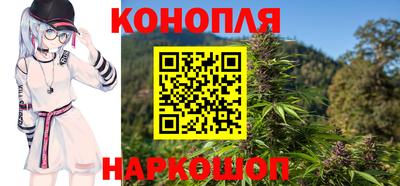 крисы Будённовск