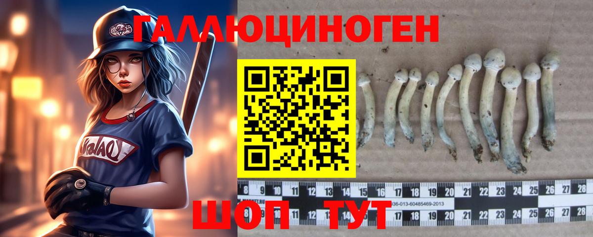 Галлюциногенные грибы Psilocybe Лиски